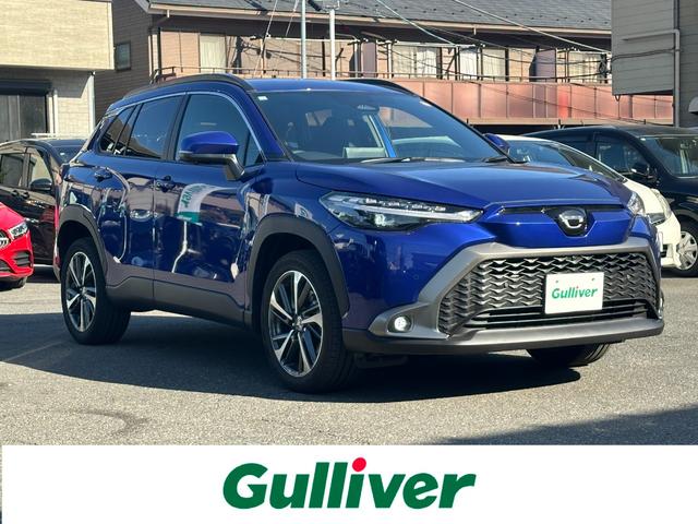 ߸ֽʤ¿ݾǽ ޤϤڤˤäݣݣ 1