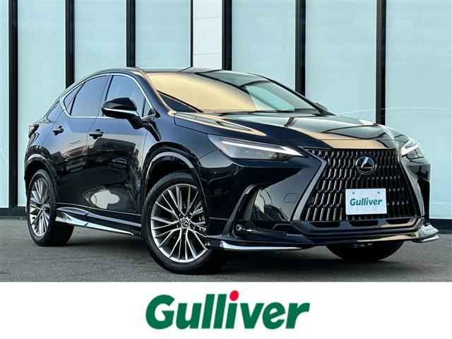 쥯 Σ Σأ衡С̡쥯եƥ󥹡ǥץ쥤ǥ