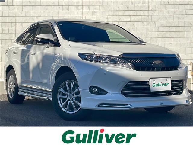 ȥ西 ϥꥢϥ֥å ץߥࡡףġǥꥹե륨롼