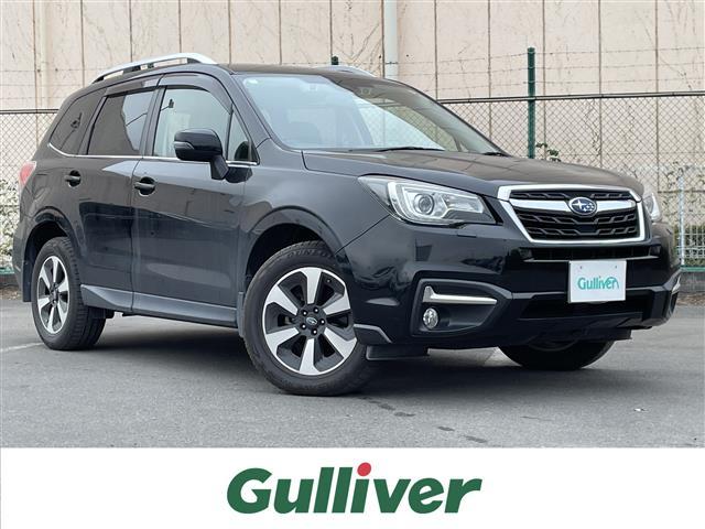 Х ե쥹 ءݥ֥쥤ʥӡɽ륳󡡥졼󥭡