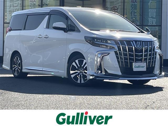 ȥ西 ե ӡåѥåϿԵΥ롼