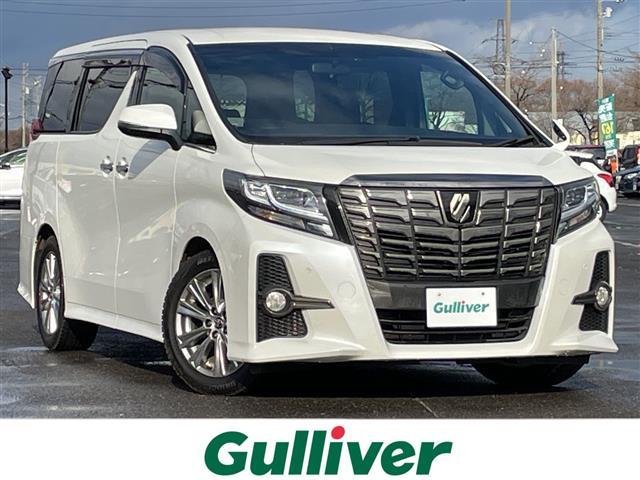 ȥ西 ե ӡѥåץ֥åϻ