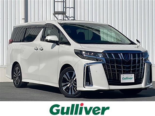 ȥ西 ե ӡåѥåر졡ʥ