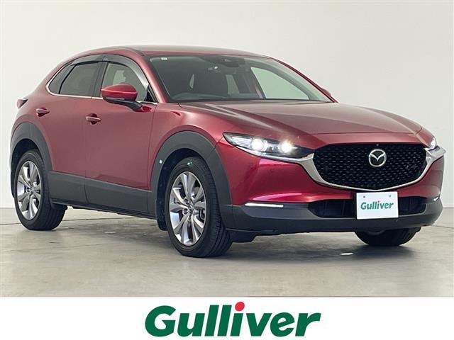 bw|RO(}c_) wc@vANeBu@c[OZNV@WDWC`[ir@tZO@as@cuc@tra@Sʃj^[@|`bshurdmrd@Փˌyu[L@}c_[_[N[YRg[@uChX|bgj^O Îԉ摜