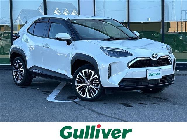 ȥ西 ꥹ ڡ̥顡ǥץ쥤ǥХå