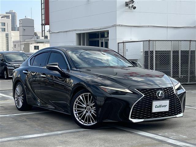 쥯 ɣ ɣӣС̡ȣ¡ģ֣ĺ