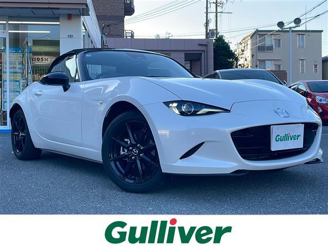 [hX^[(}c_) rXyVpbP[W Îԉ摜