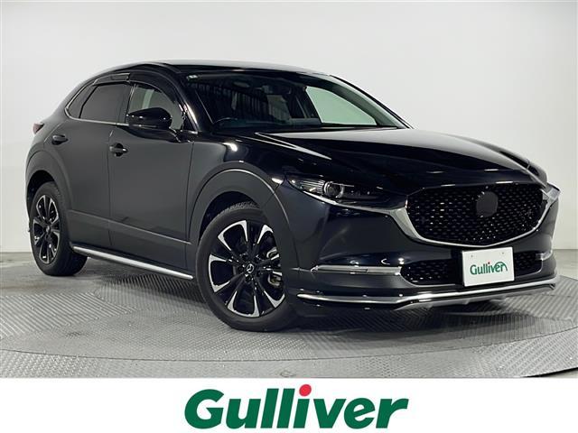 ͵ãءݣˤޤ ãءݣõʤ顢Źء 1