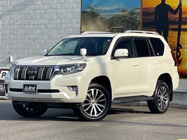 ȥ西 ɥ롼ץ ԣء̥ѥåͷڸ֥졼졼󥭡ץ