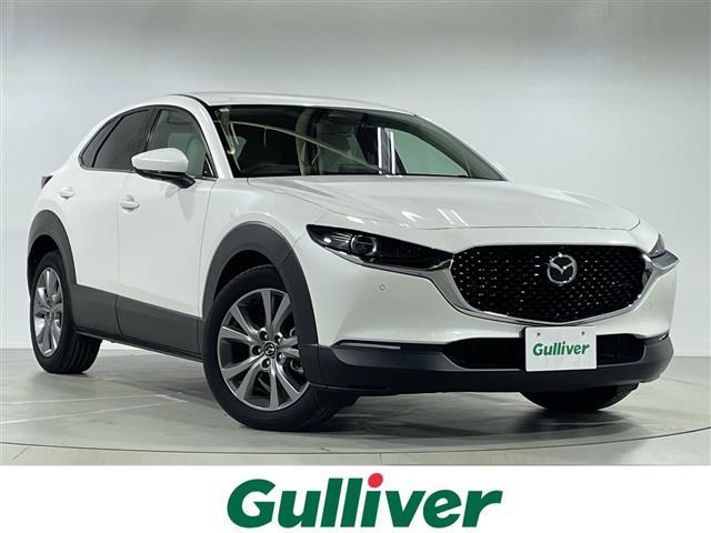 bw|RO(}c_) QOr@vANeBu@c[OZNV@PQDQT^ir@anrdTEh@S̓J@dsb@irA^OhR@V[gq[^[@V[g[@XeAOq[^[@p[V[g@p[obNhA@[_[N[YRg[ Îԉ摜