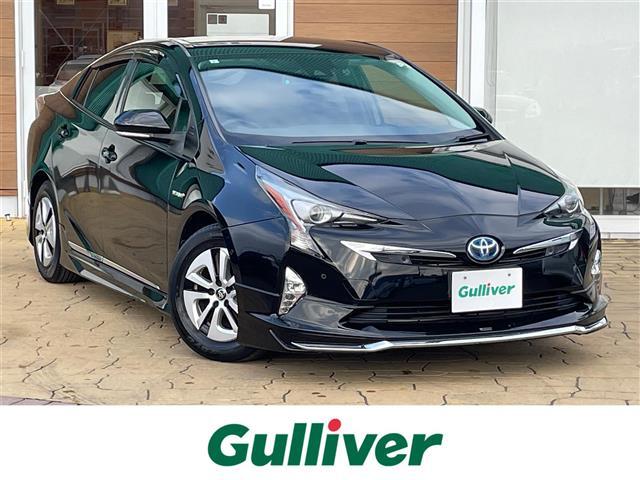 ȥ西 ץꥦ ӥեƥץ饹ʥӡե륻Хå