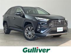 ȥ西ң֣ϥ֥åɣǡǥץ쥤ǥȥ西եƥ󥹡ѥΥߥåӥ塼˥