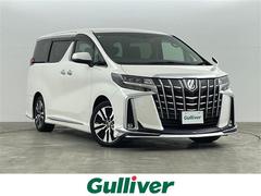 ȥ西եɡӡåѥåץꥯå奻եƥ졼ȥ졼󥰥