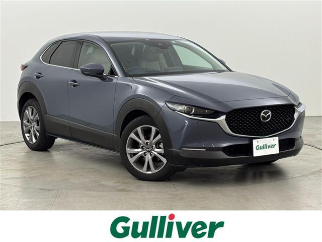 ޥĥ ãءݣ أġץƥ֡ġ󥰥쥯󡡽ʥ