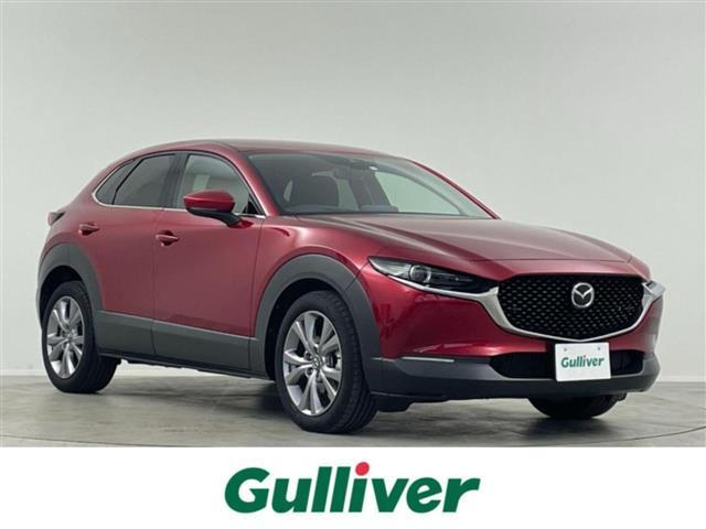 ޥĥ ãءݣ ӡץƥ֡ر졡ʥ