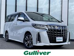 ȥ西եɡӡåѥåǥץ쥤ǥʥӡХå