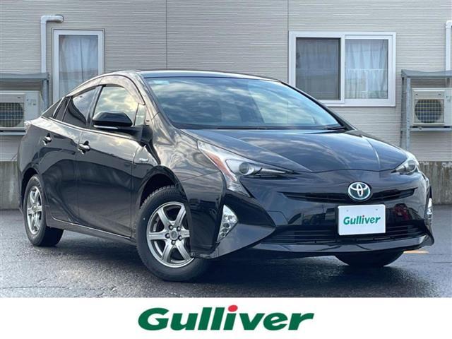 ȥ西 ץꥦ ӥġ󥰥쥯