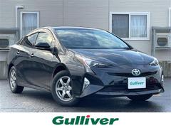 �ȥ西���ץꥦ�����ӥġ���󥰥��쥯�����