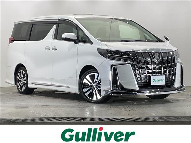 ȥ西 ե ӡåѥå᡼ǥץ쥤ǥʥեåץ˥