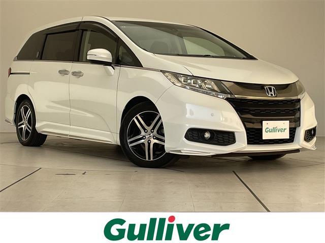 ۥ ǥå ֥롼ȡ襢˥С꡼ѥåۥ󥷥󥰡ʥ