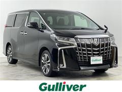 ȥ西եɡӡåѥåǥץ쥤ǥϻ