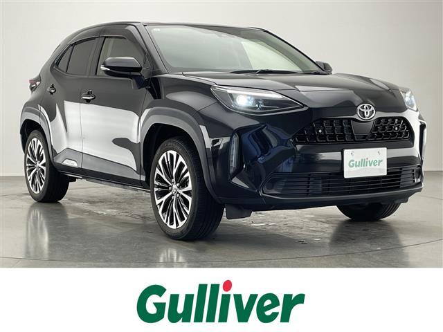 ȥ西 ꥹ ڡģʥӡХå顡ȥҡ