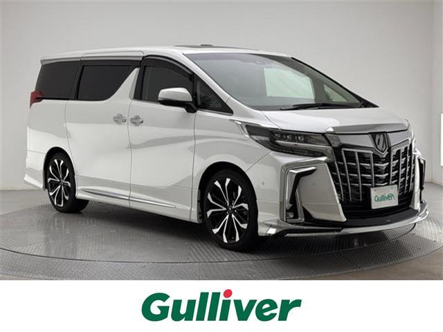 ȥ西 ե ӡåѥå᡼ץʥӡʣã