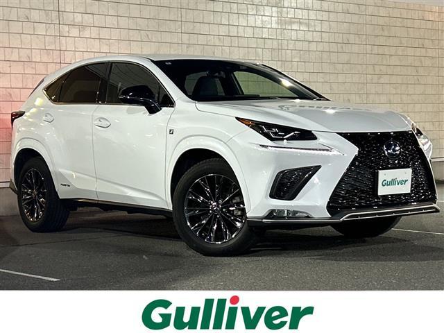 쥯 Σ Σأ衡֥饤ȡƥݡĥ١̻Ѽ֡ʥ