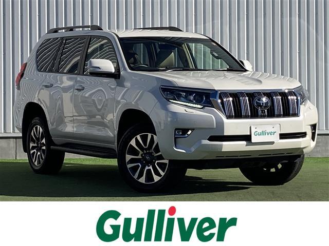 ȥ西 ɥ롼ץ ԣء̥ѥåر֡ʥ