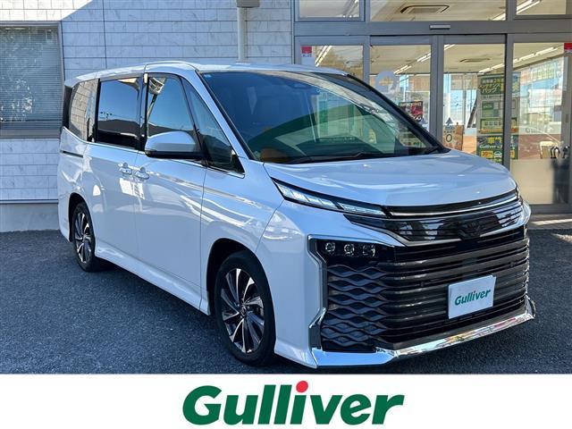 ȥ西  ӡݣڡʥӡХå顡ӥȥţԣ