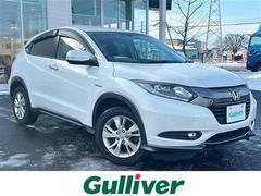 �ۥ�����������롡�ϥ��֥�åɣ�