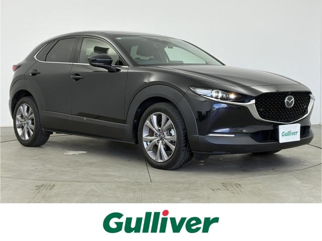 ޥĥ ãءݣ أġץƥ֡ʥӡ̥