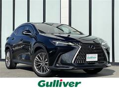 NX NX250 バージョンL 純正ナビ サンルーフ 本革シート 全方位カメラ レクサスセーフティシステム ブラインドスポットモニター クリアランスソナー 100V電源 パドルシフト 置くだけ充電 ドライブレコーダー 純正アルミ 中古車画像