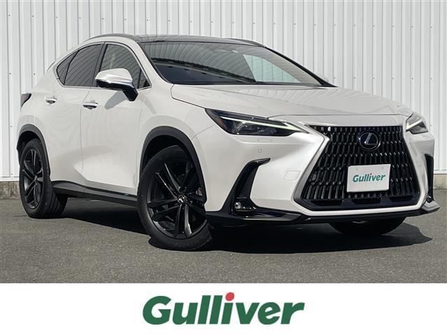 ͵Σˤޤ Σõʤ顢ȬŹء 1