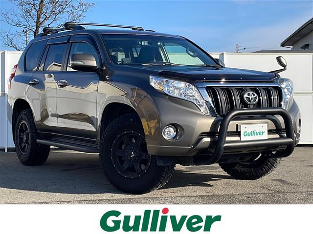 ȥ西 ɥ롼ץ ԣء̥ѥå꡼ʥӡե륻