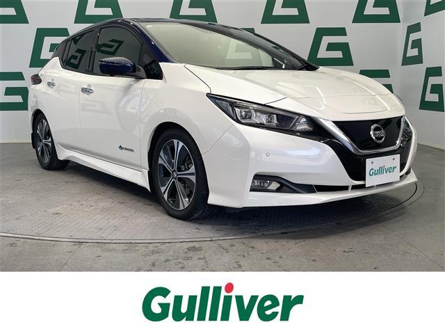 大人気リーフ！ リーフ入荷！リーフのことならおまかせ！