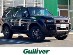 �ȥ西�����ɥ��롼�������������֣ء������ʥӡ������̥���顡����롼��