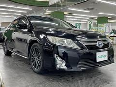 �ȥ西������ꡡ�ϥ��֥�åɡ��쥶���ѥå�����