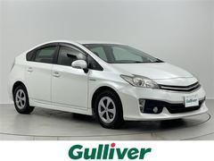 �ȥ西���ץꥦ�����ӡ��ر�֡����������ʥӡ��Хå������