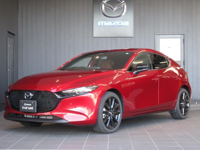 ޥĥ ͣڣģեȥХå ӡȥݡĥǥ󡡾ﳲڸƥࡡץƥ֥롼ȥ