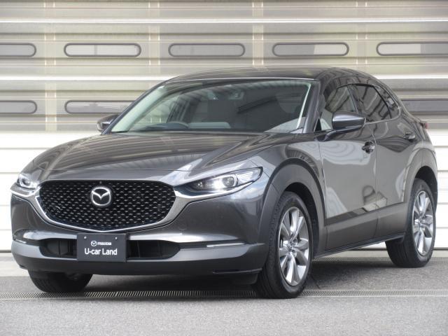 ޥĥ ãءݣ أġץƥ֡ġ󥰥쥯󡡾ﳲڸƥ