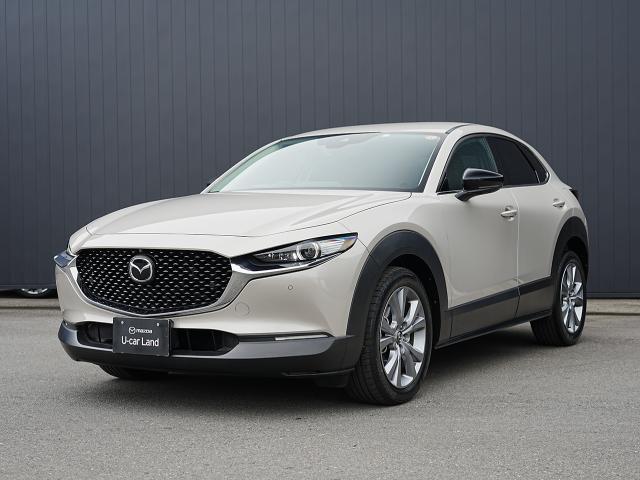 駐車場や路地などでの取り回しまで考慮して設計されたアーバンスタイルＳＵＶ