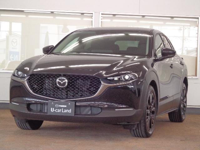 bw|RO(}c_) QOr@ubNZNV@Փ˔QyVXe@A_veBuN[YRg[@S̓J@I[g}`bNnCr[@dV[g@V[gq[^[@obNJ@I[gCg@kdcwbhv@a Îԉ摜