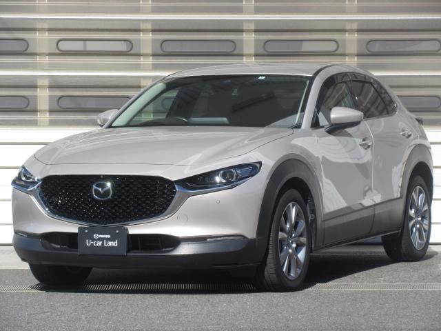 bw|RO(}c_) wc@vANeBu@c[OZNV@Փ˔QyVXe@A_veBuN[YRg[@S̓J@I[g}`bNnCr[@vV[g@dV[g@V[gq[^[@obNJ@I[gCg@kdcwbhv@dsb@fB[[ Îԉ摜