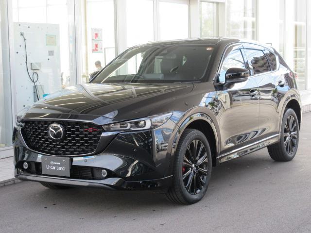 륷ǳǤ⤤̥ϤΥޥѡѥӣգ 1