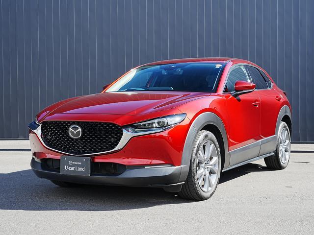 bw|RO(}c_) QOr@vANeBu@c[OZNV@Փ˔QyVXe@A_veBuN[YRg[@S̓J@I[g}`bNnCr[@dV[g@V[gq[^[@ir@obNJ@I[gCg@kdcwbhv@dsb@dAQ[g Îԉ摜