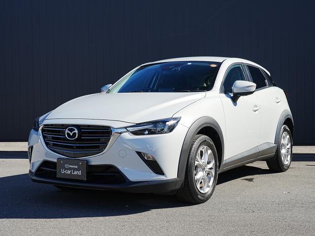 ѤԤ椭Ĥͥ줿ǥʤΰѡʥӣգ 1