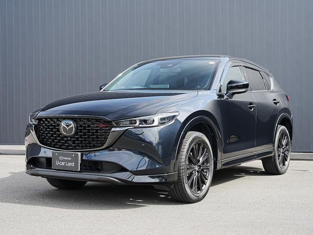 륷ǳǤ⤤̥ϤΥޥѡѥӣգ 1