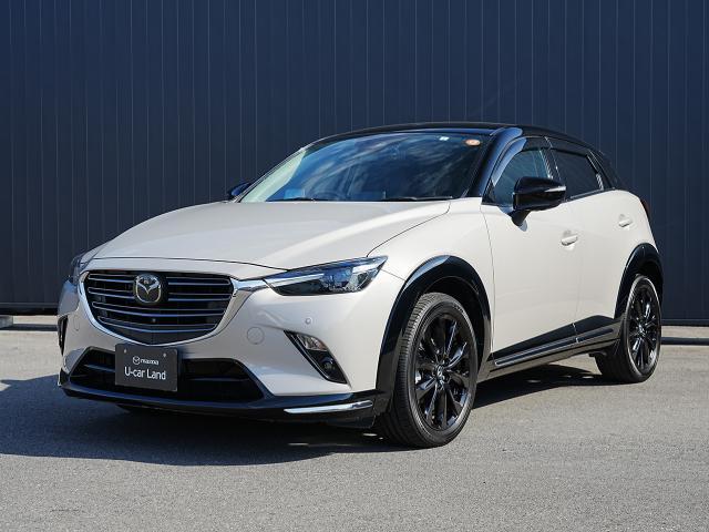 ѤԤ椭Ĥͥ줿ǥʤΰѡʥӣգ 1