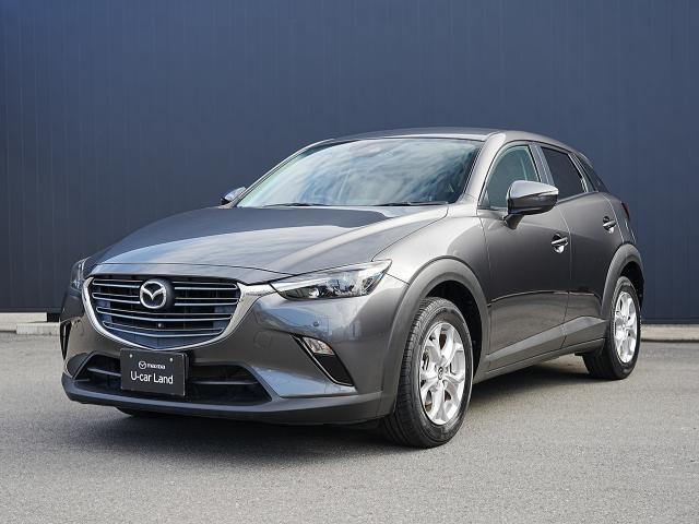 ѤԤ椭Ĥͥ줿ǥʤΰѡʥӣգ 1